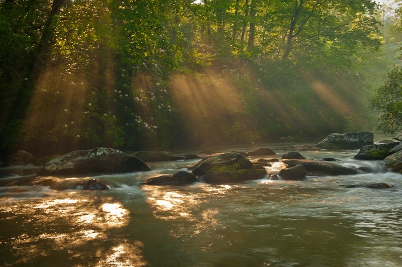 Gunas in Ayurveda: Dense x Liquid